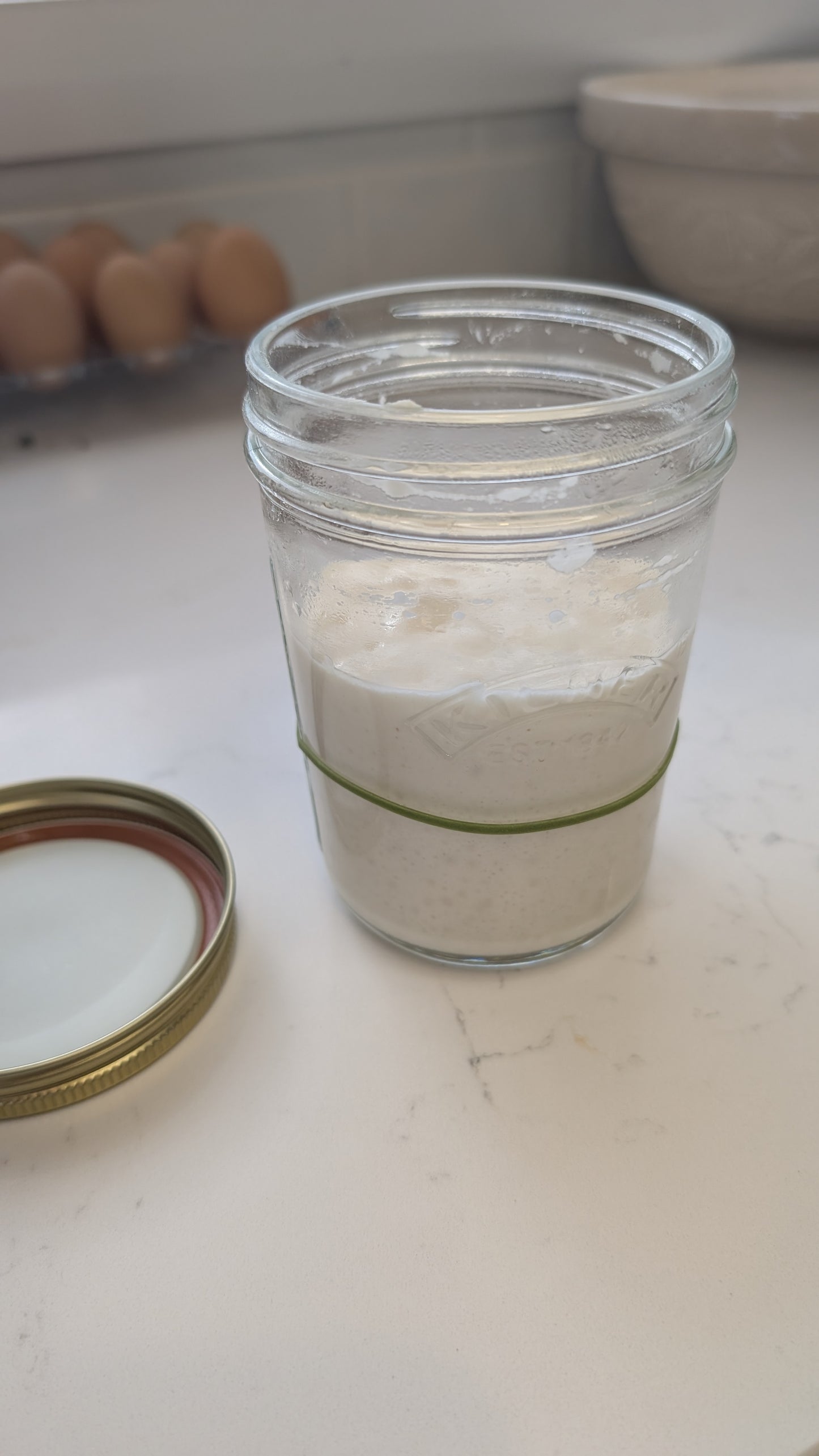 Live Sourdough Starter & Sourdough Starter Guide