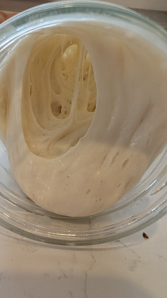 Live Sourdough Starter & Sourdough Starter Guide
