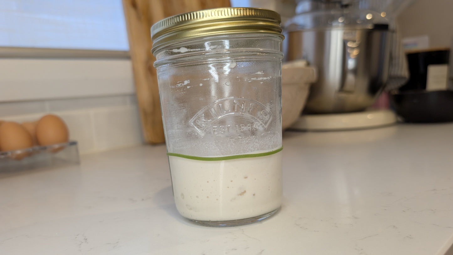 Live Sourdough Starter & Sourdough Starter Guide