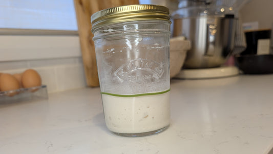 Live Sourdough Starter & Sourdough Starter Guide